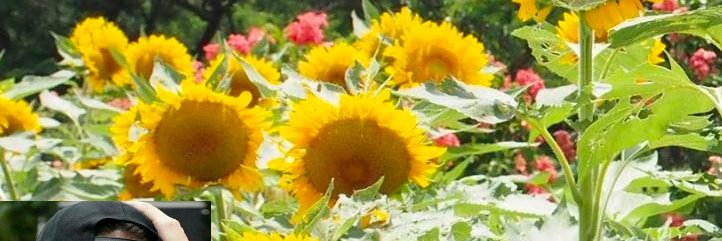 mademar🌻💛 banner