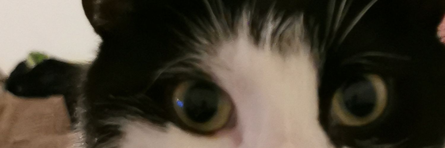 Kitt H banner