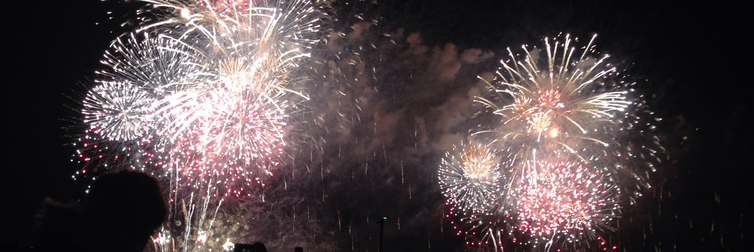 lapish14's profile banner image