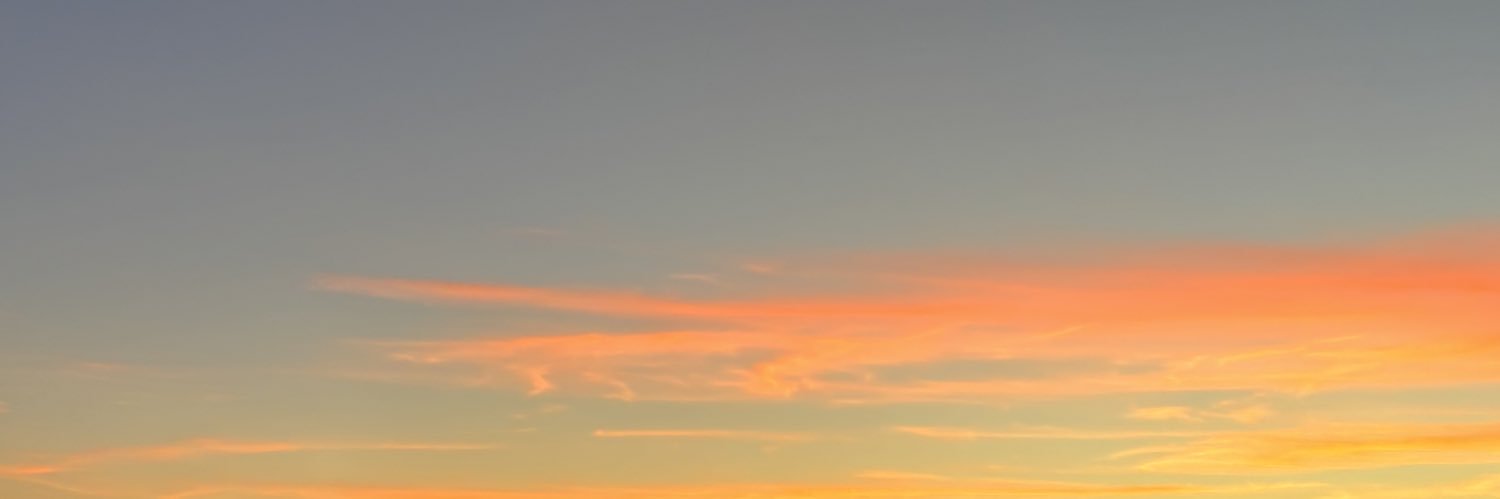 JenniContrasty's profile banner image