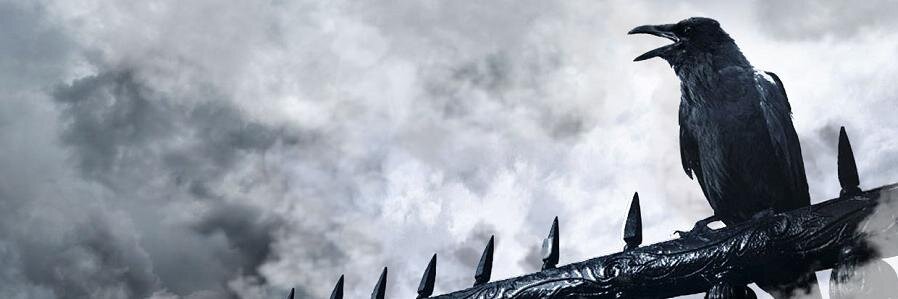aybarbasaran's profile banner image