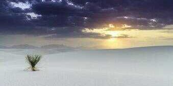 rabanito8's profile banner image