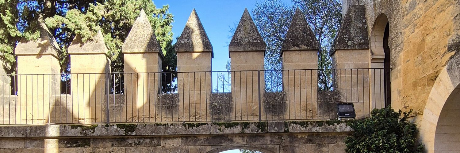 MAGarciaGar's profile banner image