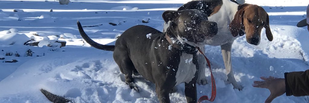 Fety_Meg's profile banner image