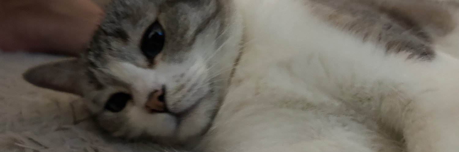 marianeew's profile banner image