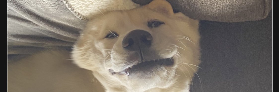 OhYeaItsAlexx's profile banner image