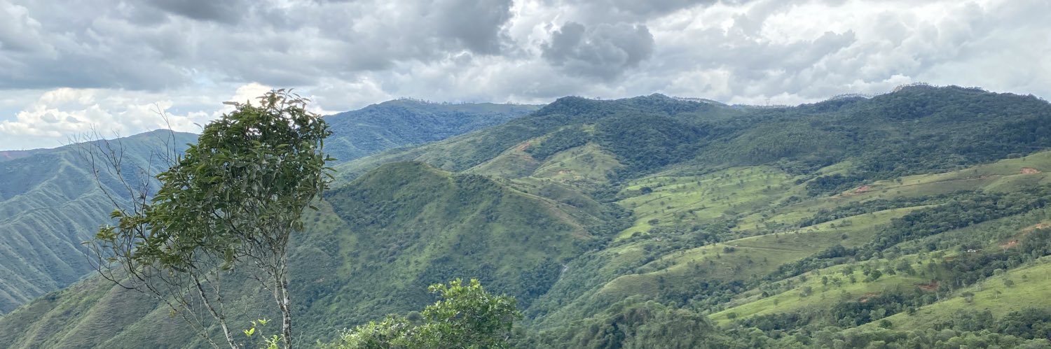 JavierMaestreC's profile banner image