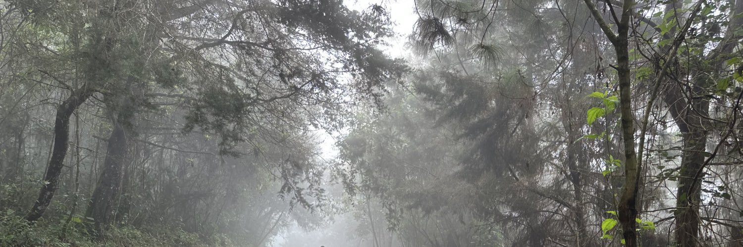SoulEL87's profile banner image