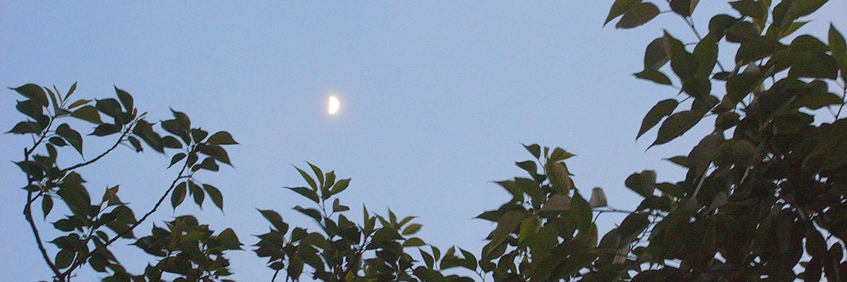 shimoon_s's profile banner image