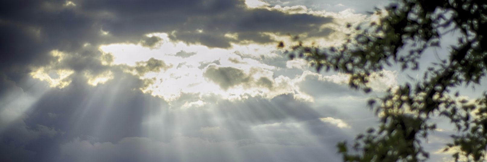 Ramon Rüegg banner