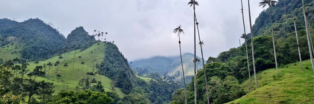 StefanoDiPsico's profile banner image