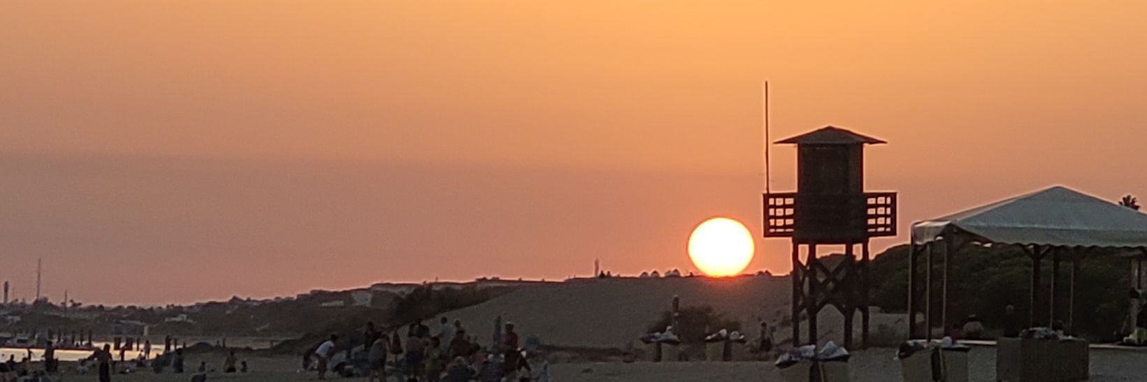 aleyalgomas's profile banner image