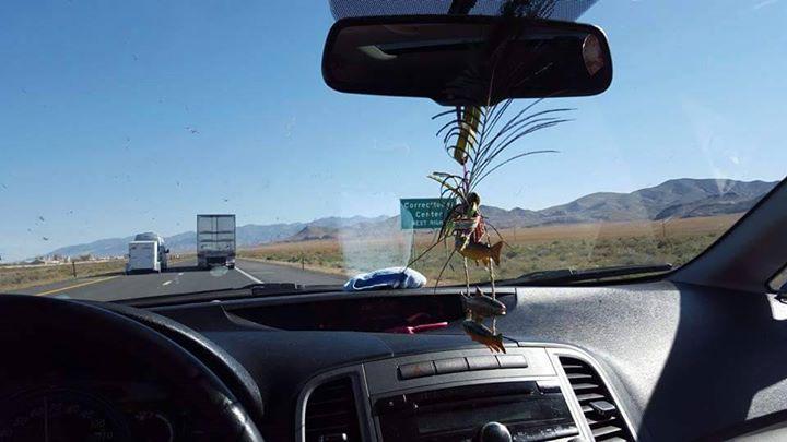 christi russell banner