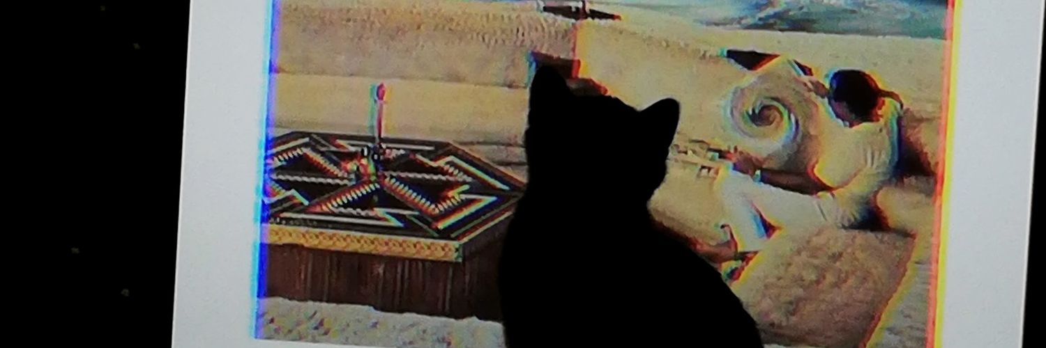 EricMSilva's profile banner image