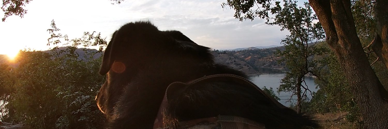 _Rubyyy's profile banner image