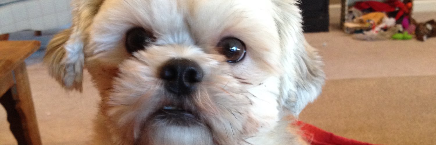 blaurentuck's profile banner image