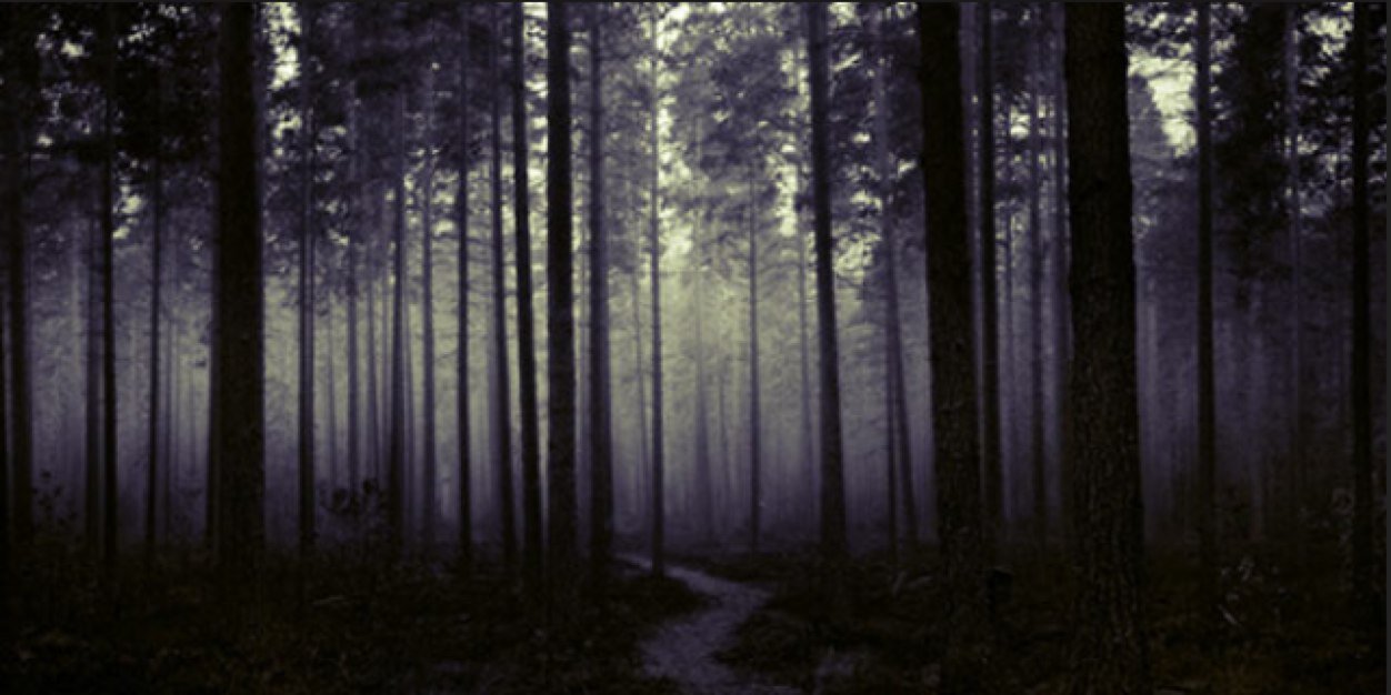 bdvh_'s profile banner image