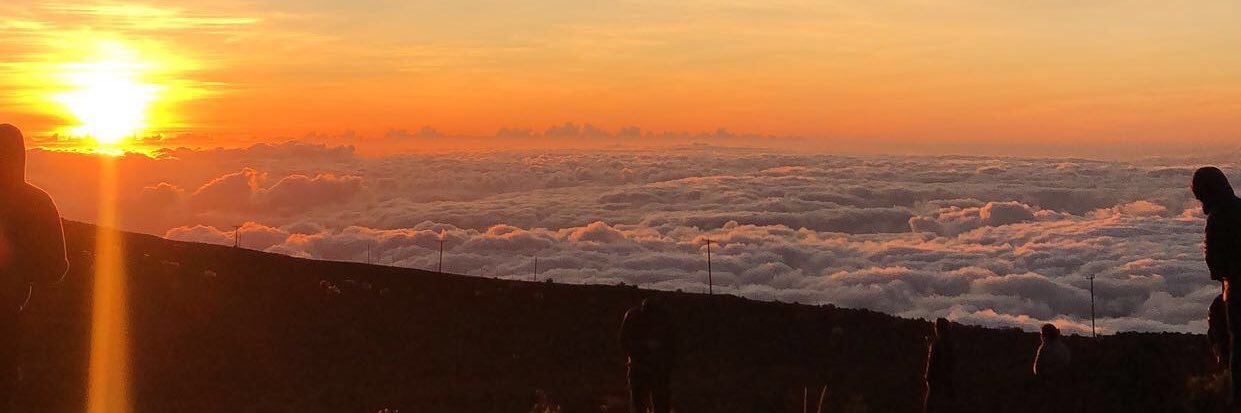 Price4Paradise_'s profile banner image