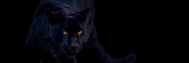 BradyG_12's profile banner image