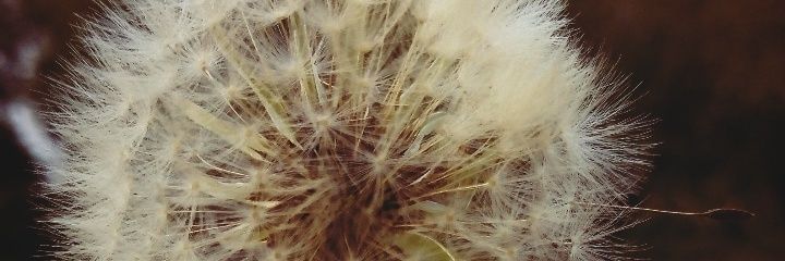 CeballosAna_'s profile banner image