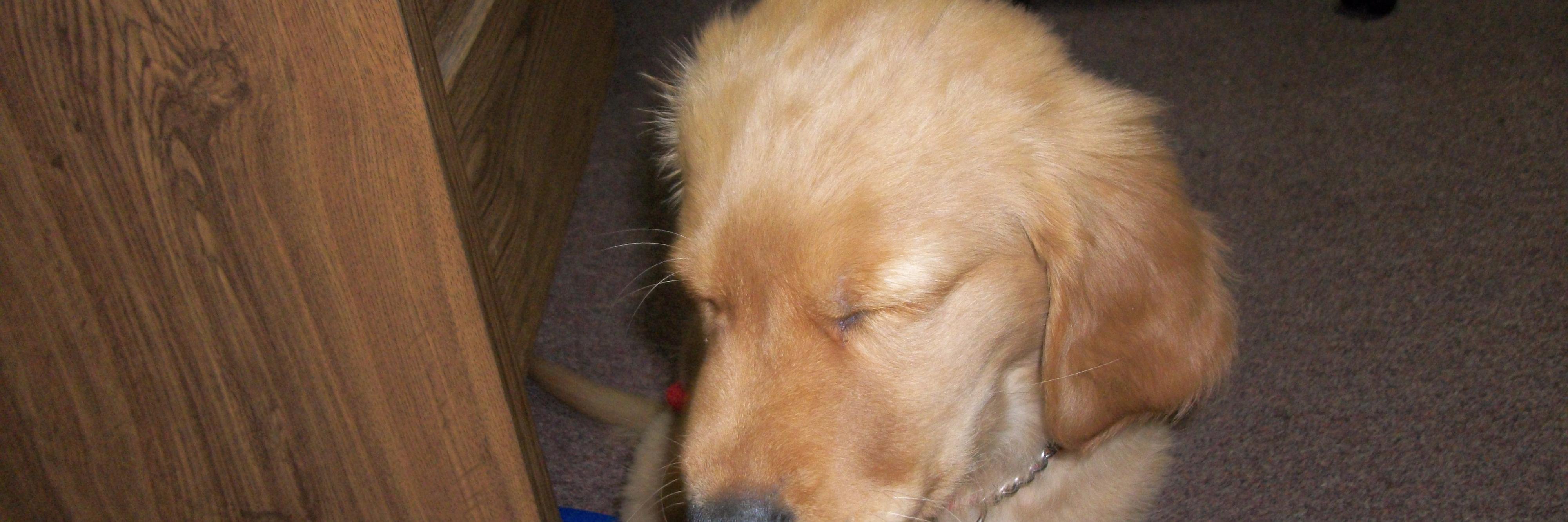 Pat Compliance banner