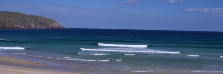 Clare  Carolan banner