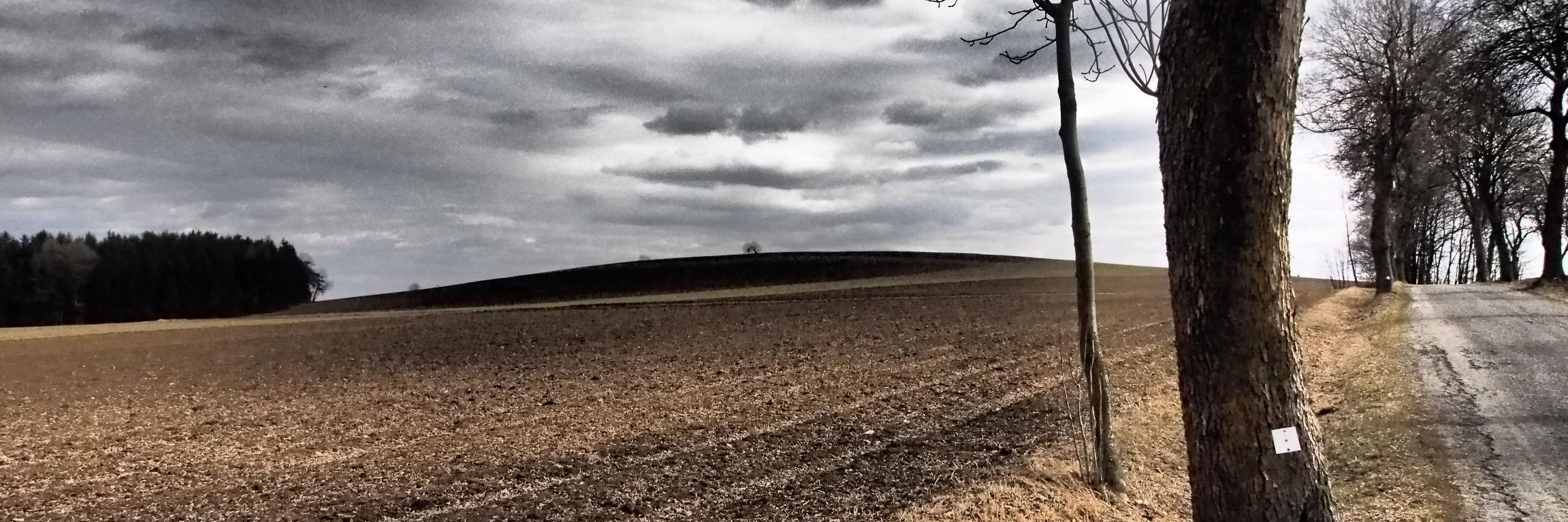LiborHomolka's profile banner image