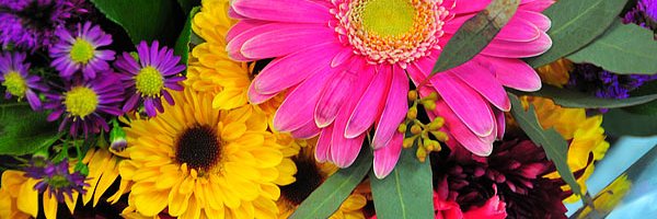 Mrs. Jennifer Mummert banner