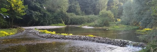 ssantoscarro Profile Banner