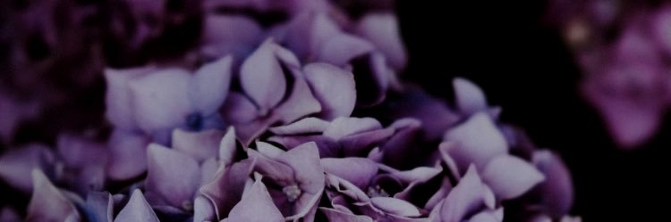 Konst___'s profile banner image
