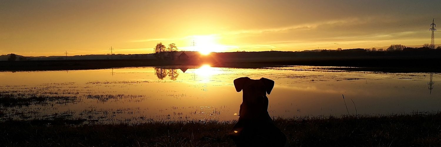 bra_milena's profile banner image