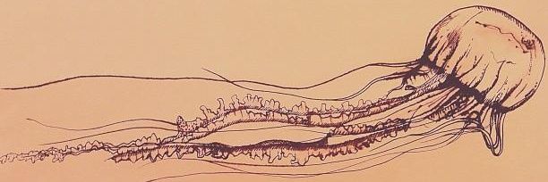 Ashweed89's profile banner image
