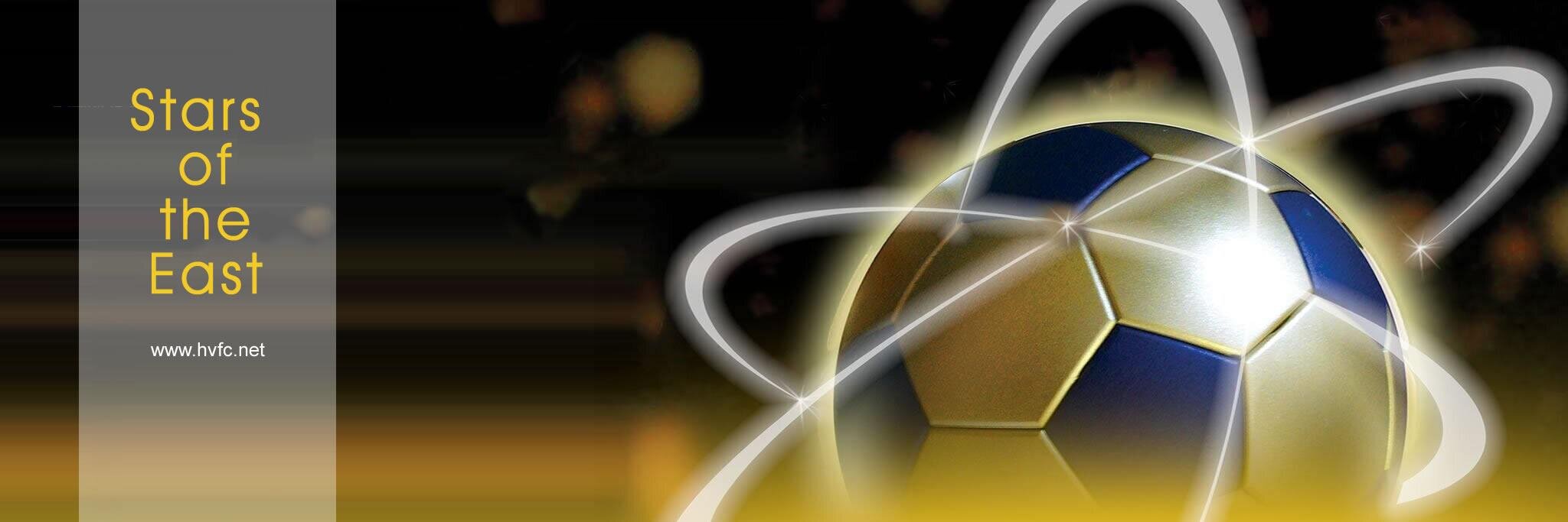 harbourviewfc's profile banner image