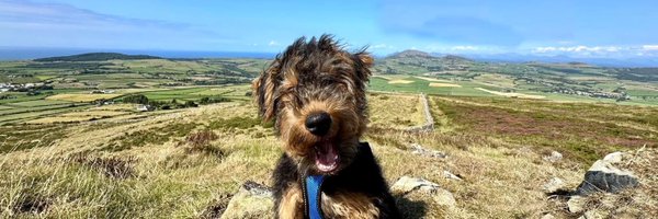 Janwhe1 Profile Banner