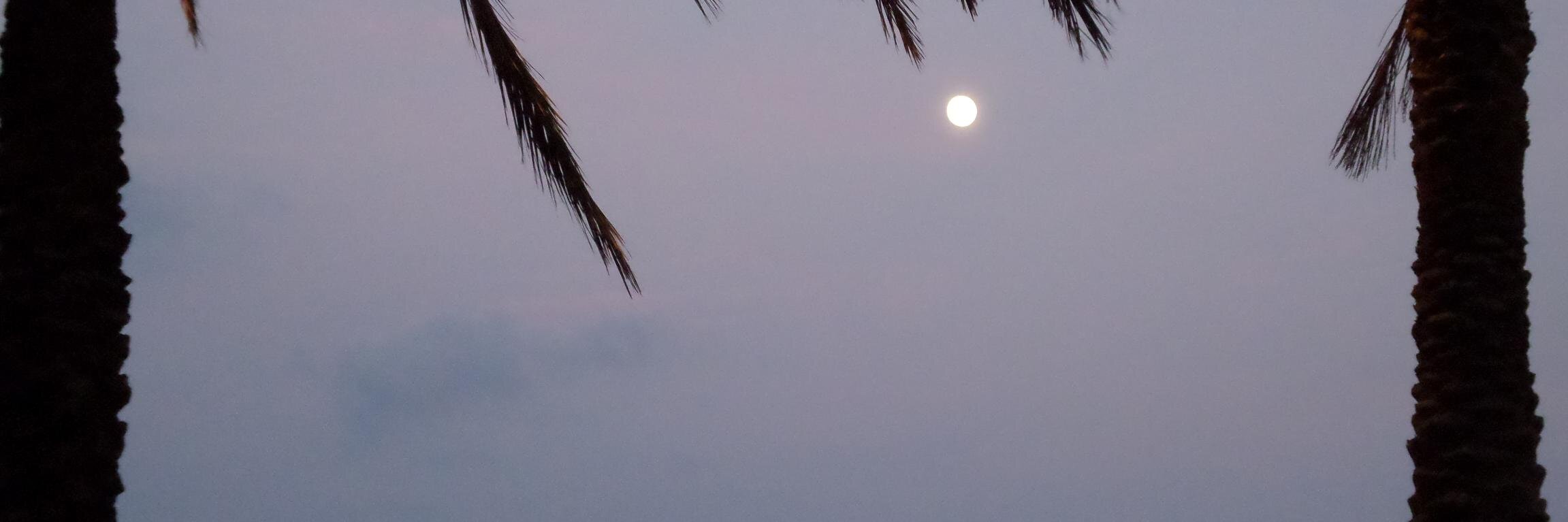 Mayuri Parmar banner