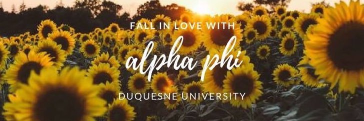 DuqAlphaPhi's profile banner image