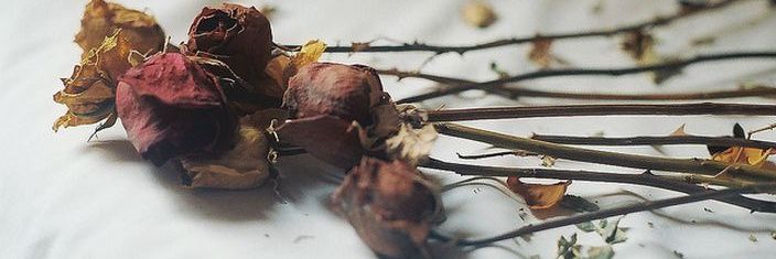 YoutifullyYours's profile banner image