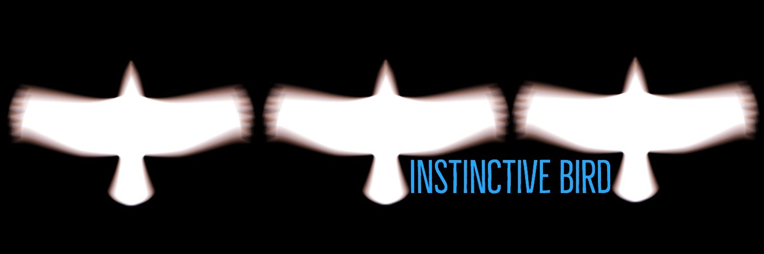 InstinctiveBird's profile banner image