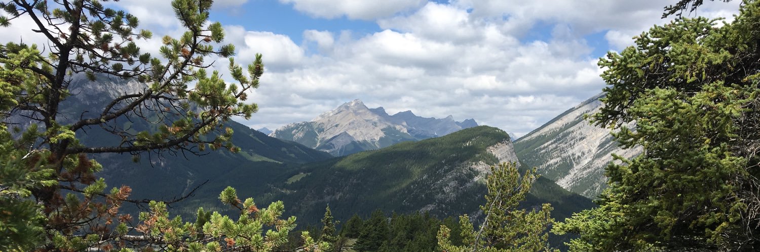 Mike Sinclair banner