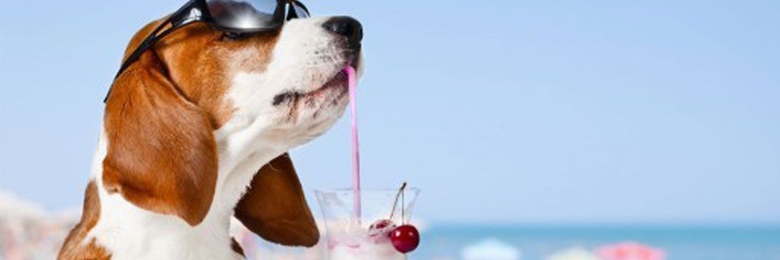 MarziGold_'s profile banner image