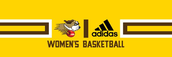 USFWBBHoops Profile Banner