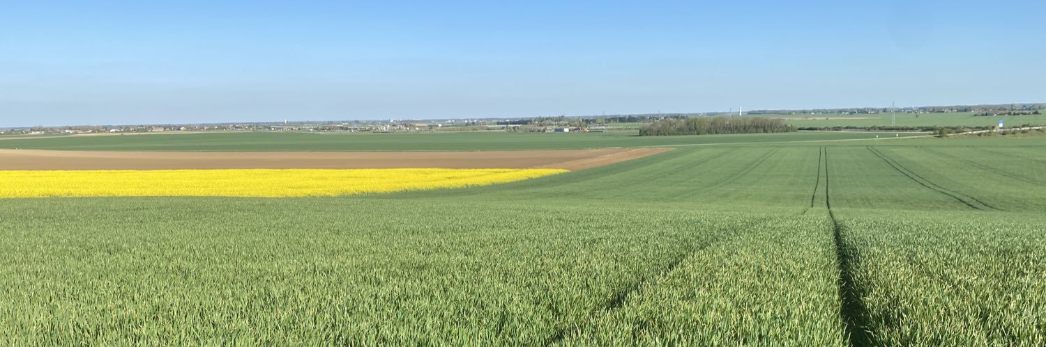 Maxime Buizard banner