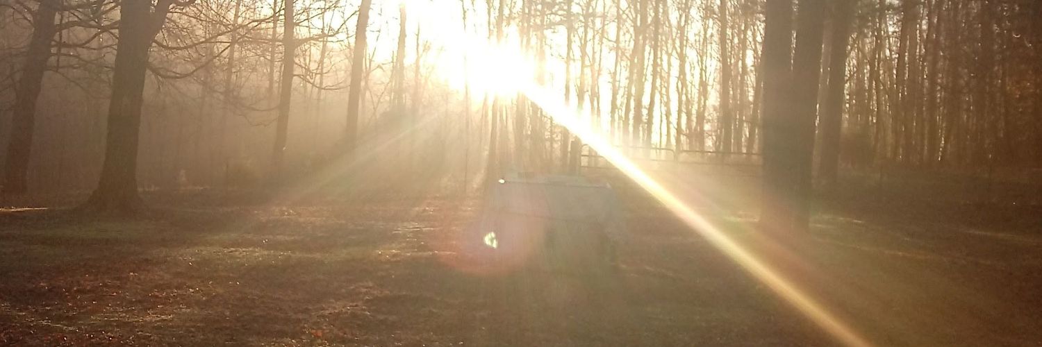 iluvcats44's profile banner image