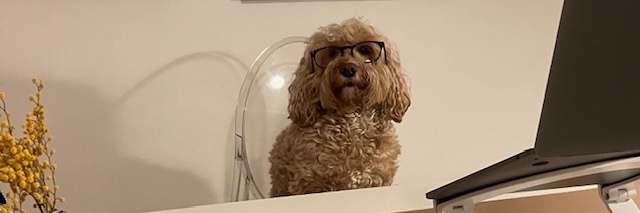 Lorraine Keating banner