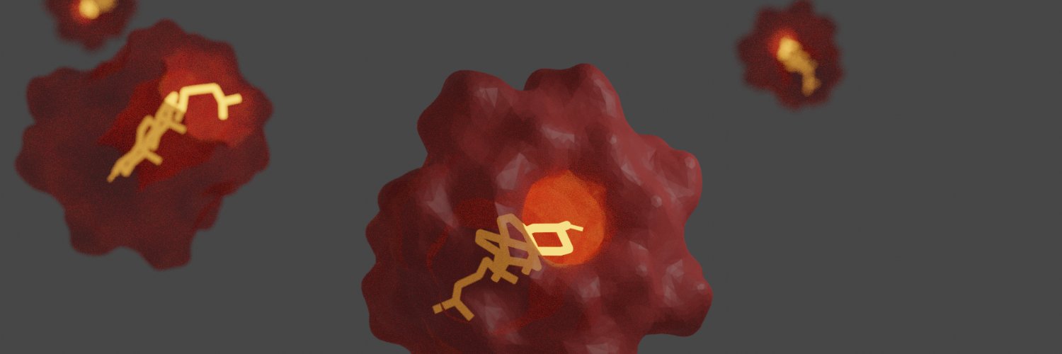 Casper Steinmann banner