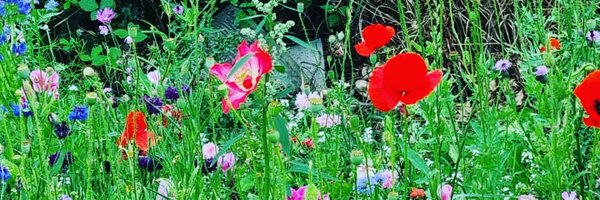 CJW1986 Profile Banner