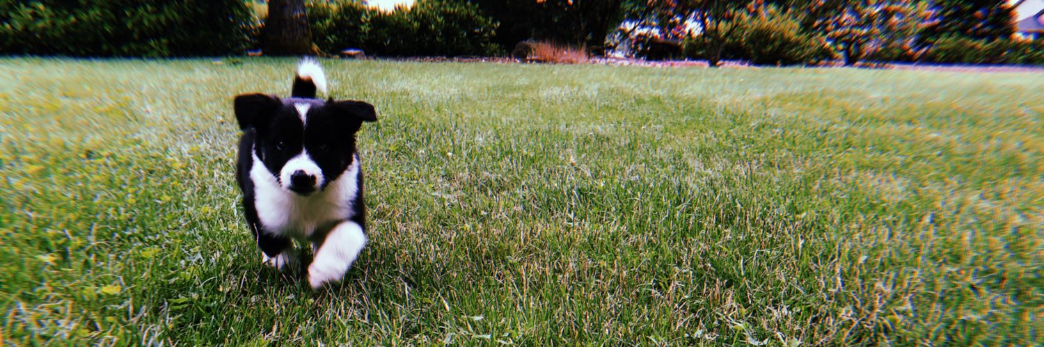 johnston_manda's profile banner image