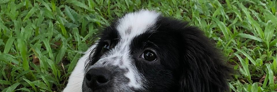 djluza96's profile banner image