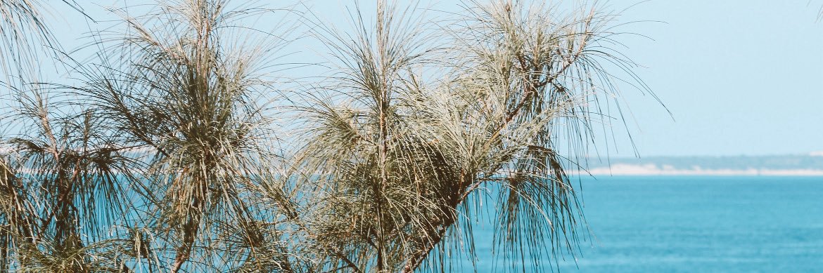 𝙺𝚎𝚕𝚕𝚢 banner