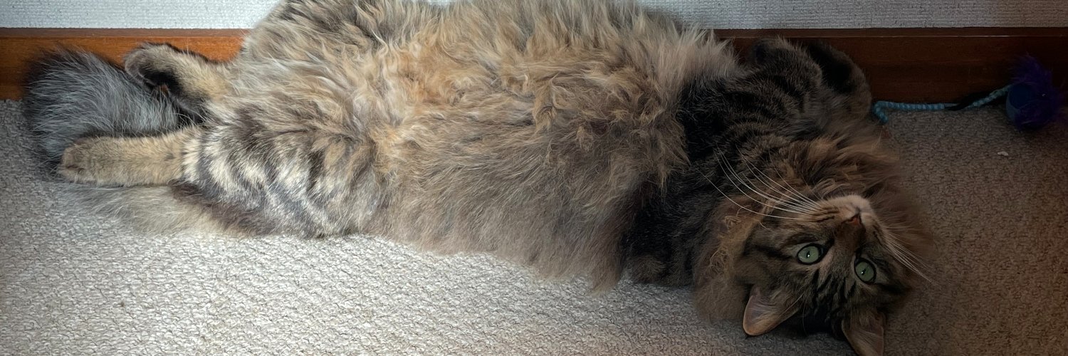 いか_「陸自ダンジョン」1巻発売中📖 banner